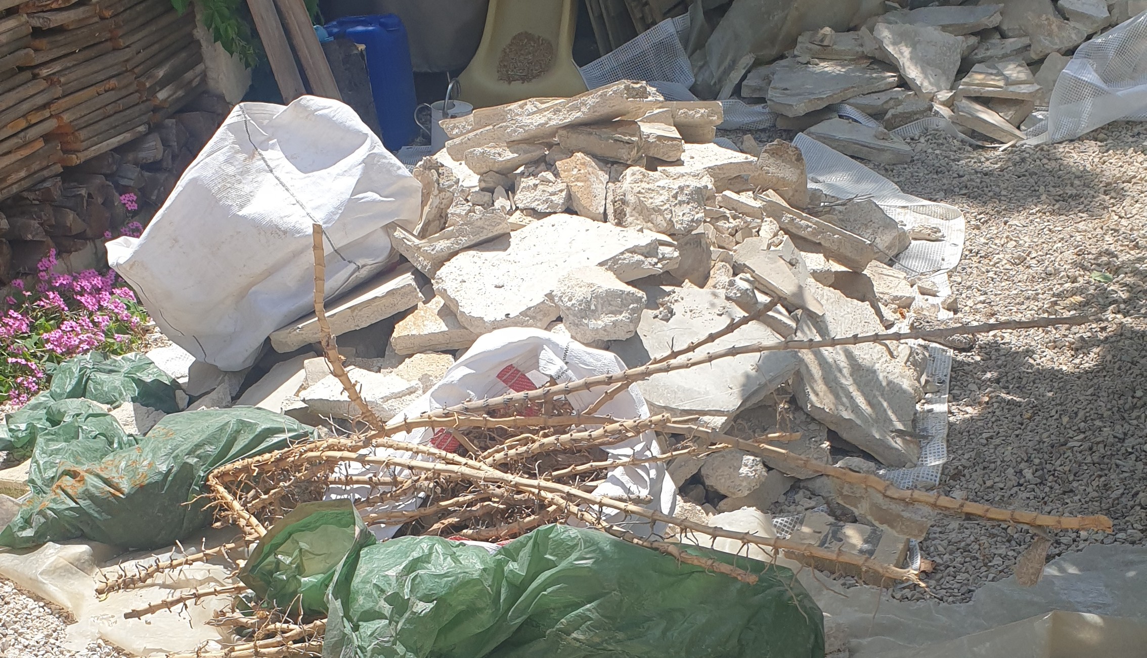 Dalles déposées et rhizomes extraits à Marseille