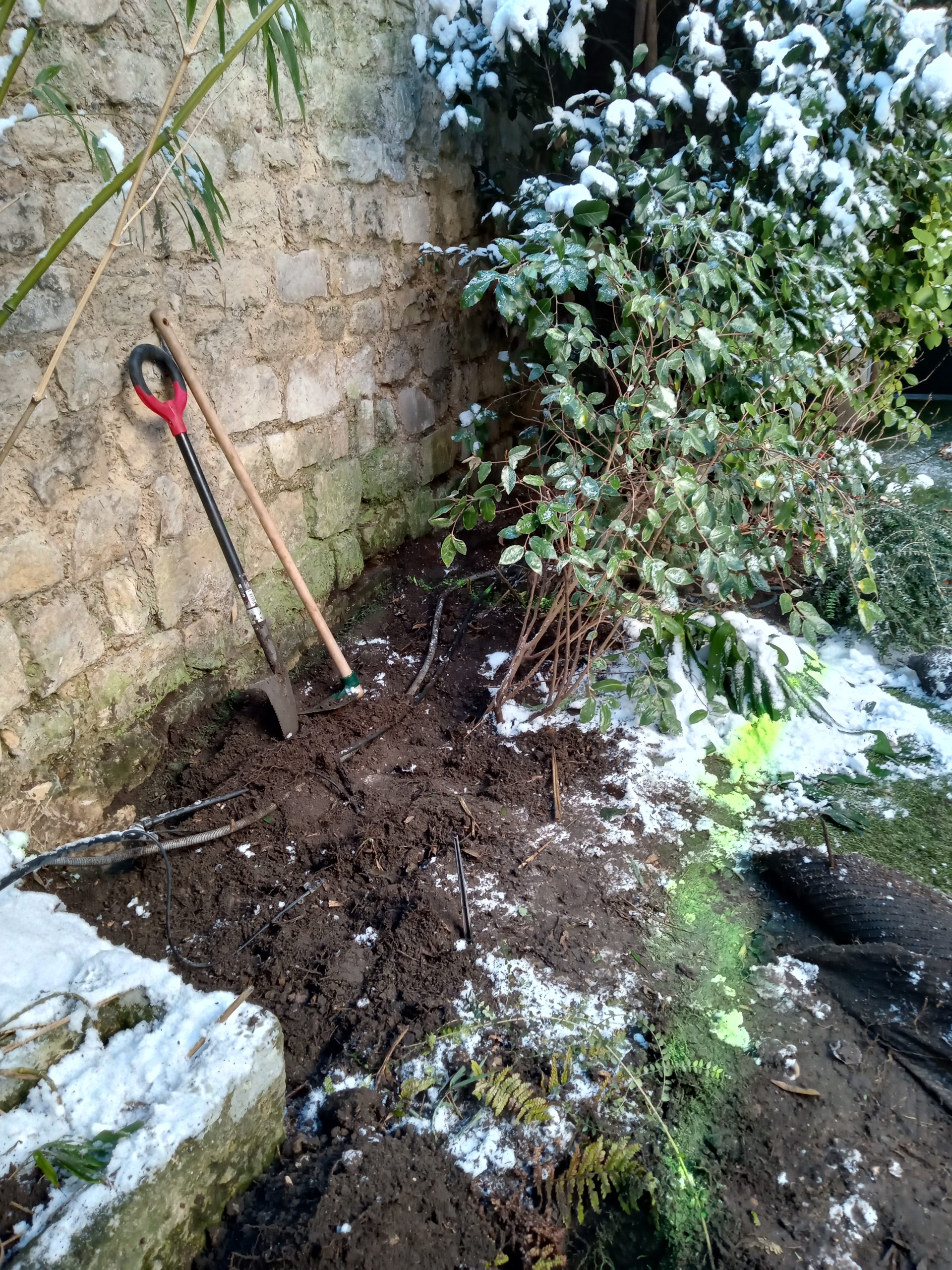 Zone sensible proche d’ouvrages : cas fréquent quand des rhizomes de bambou sont présents.