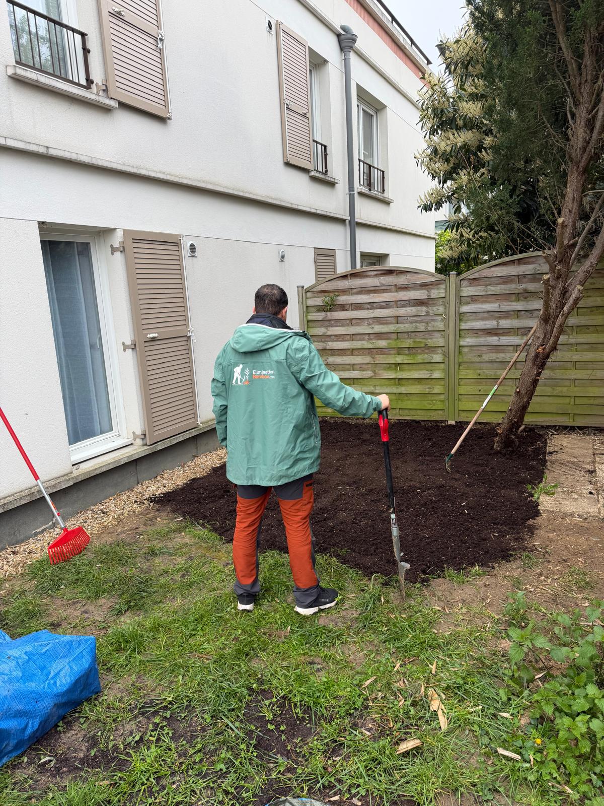 Fin de chantier à Massy après éradication du bambou traçant et retrait des départs vers le jardin voisin.