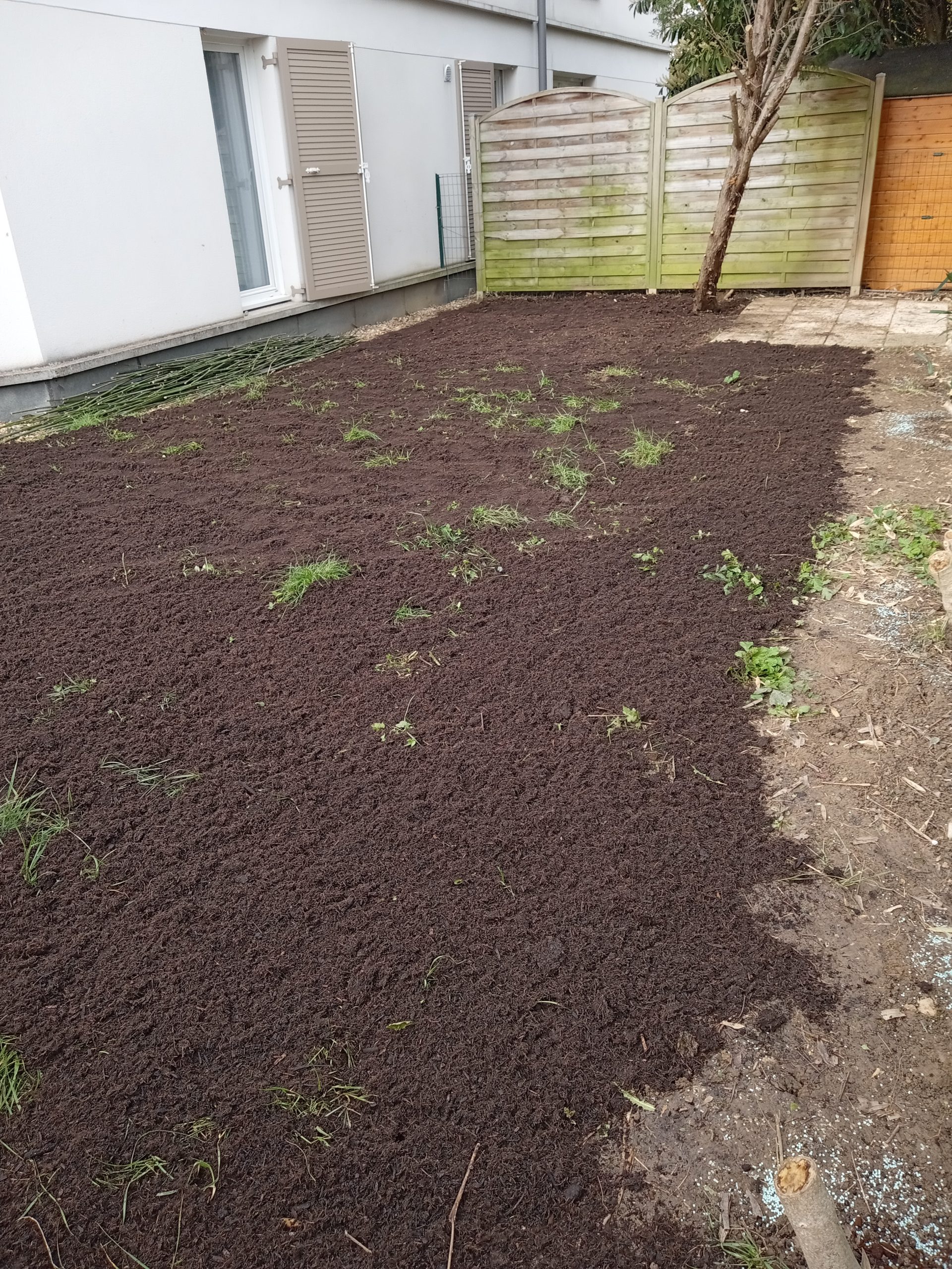 Jardin après intervention à Massy (91), après éradication du bambou et apport de compost sur toute la zone traitée