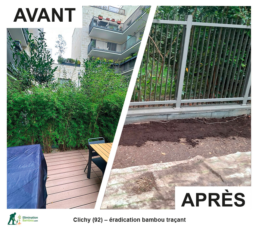 Avant après éradication de bambou traçant à Clichy près d’une terrasse bois et d’une clôture