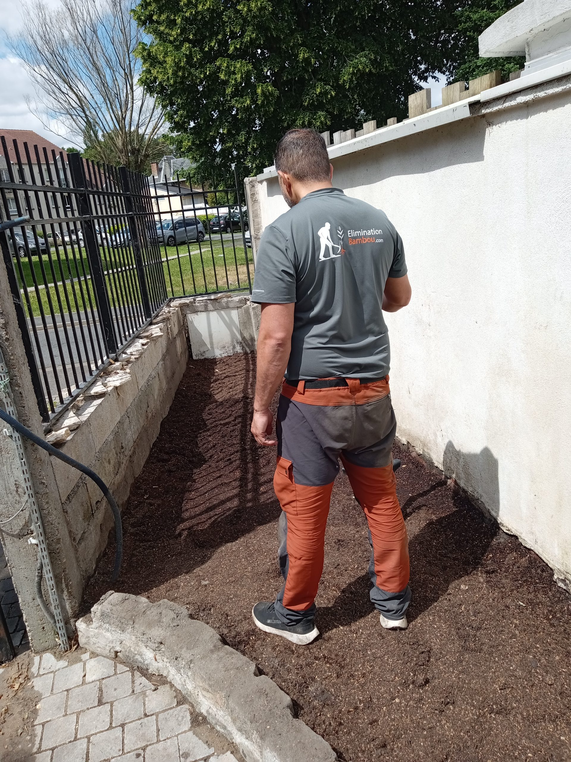 Jardin après intervention, après éradication du bambou traçant et remise au propre.