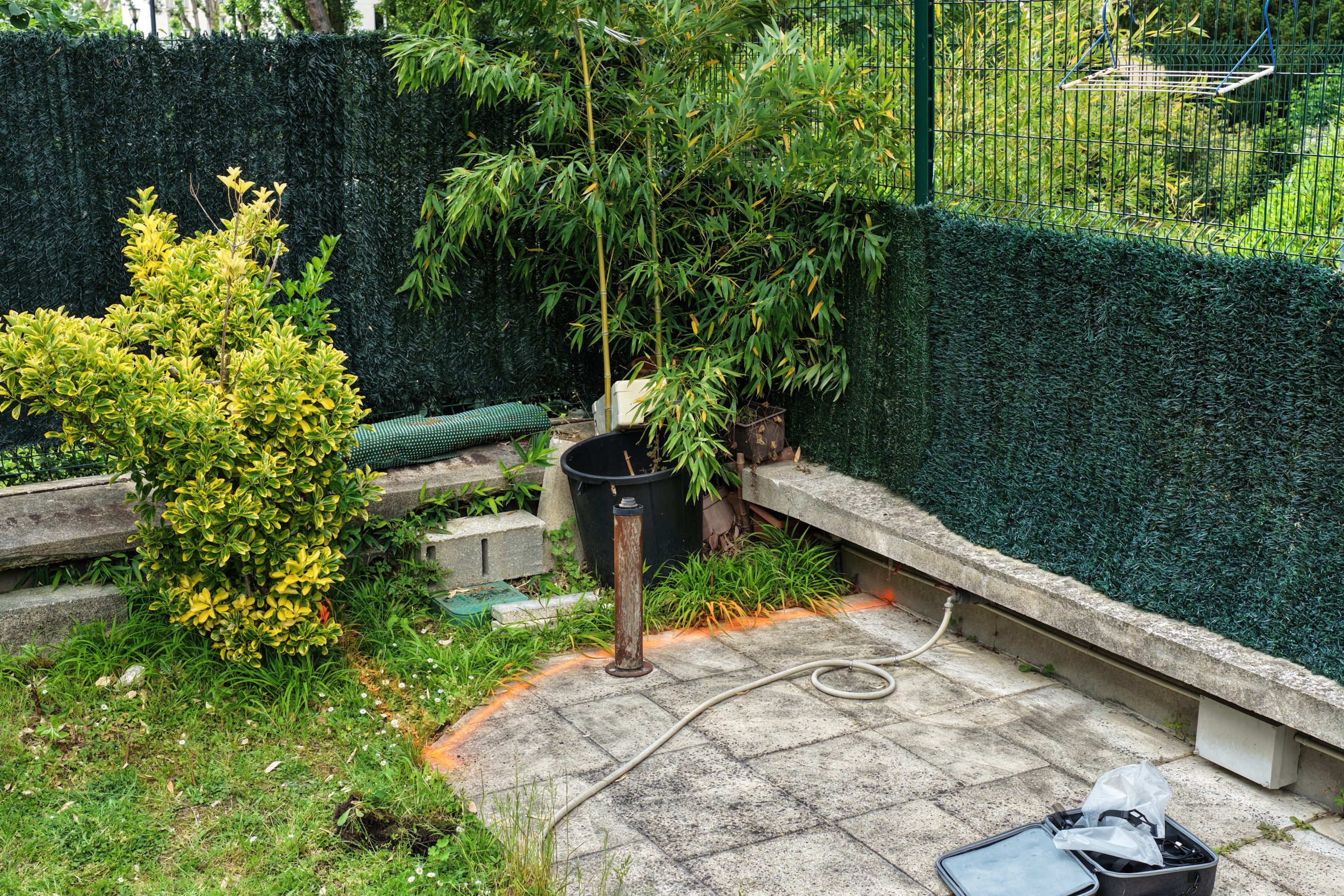 Vue d’ensemble d’un problème de bambou envahissant en copropriété à Boulogne-Billancourt dans un jardin privatif en rez-de-jardin.