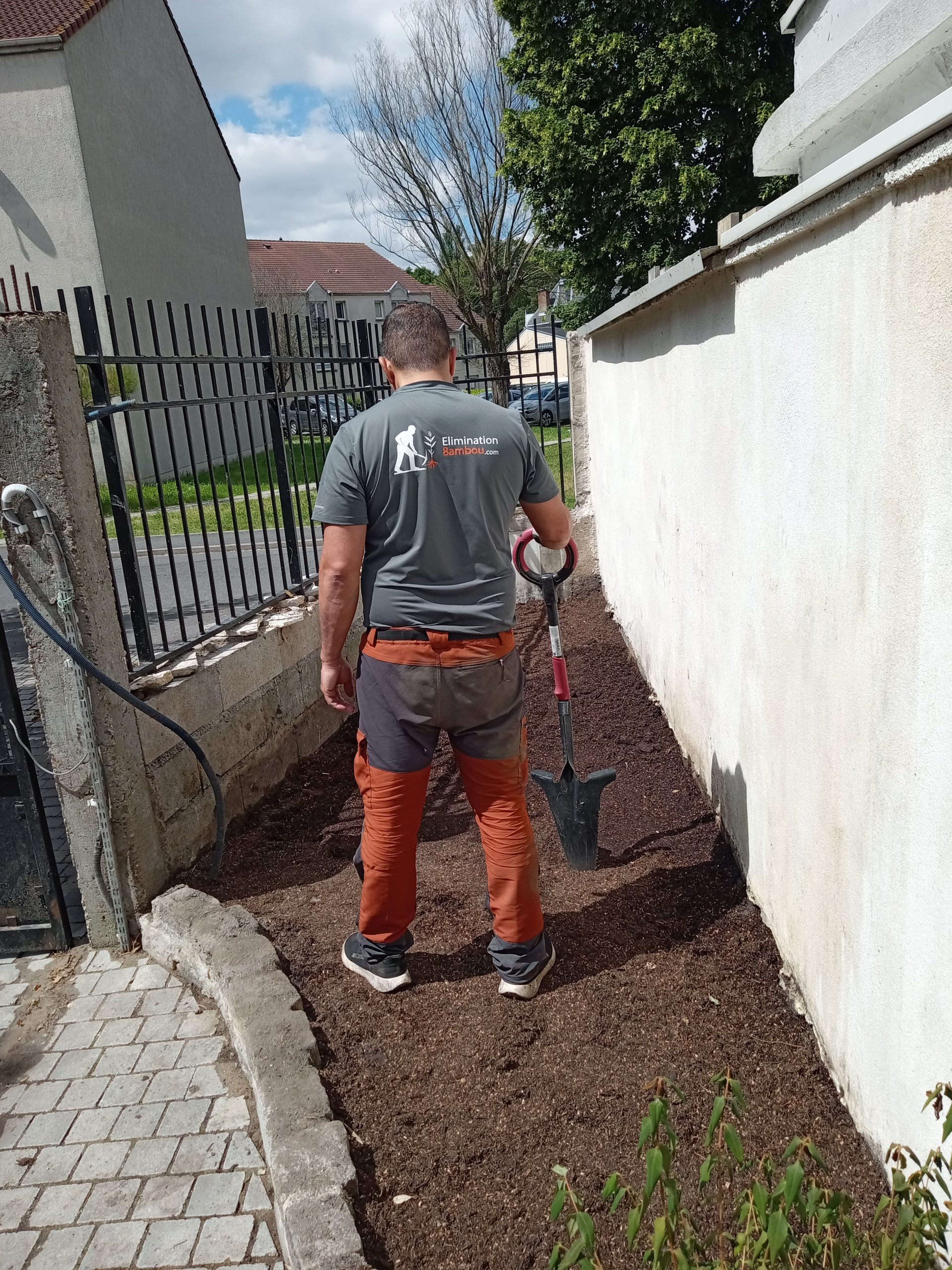 Professionnel d’Élimination Bambou devant une zone traitée après l’arrachage des bambous et des rhizomes